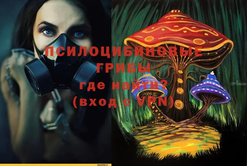 Галлюциногенные грибы Psilocybe  kraken сайт  Красноярск 